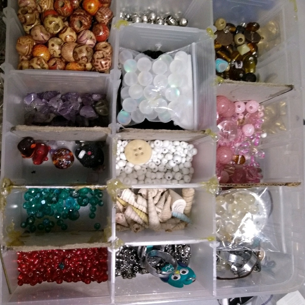 Meet your Posher, Carrie